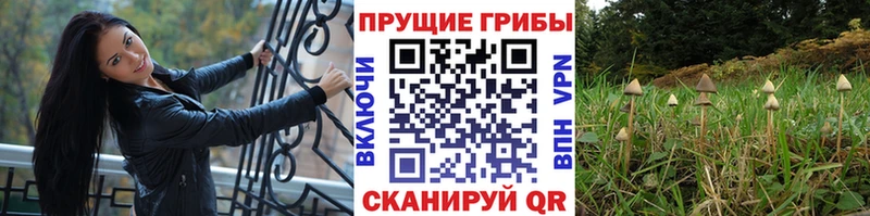Галлюциногенные грибы ЛСД Южа